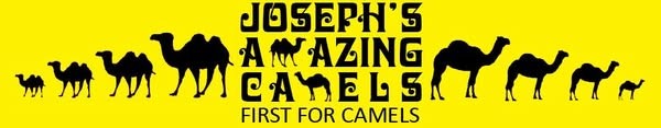 Joseph's Amazing Camels Limited</a>